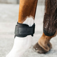 Kentucky-Young-Horse-Fetlock-Boots-Air-1