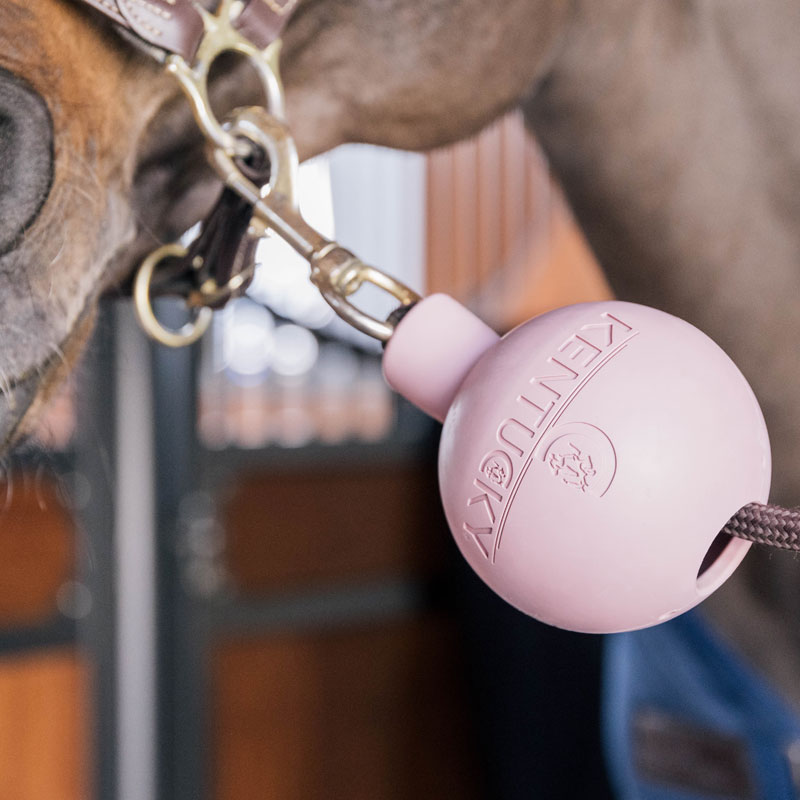 Rubber-Ball-Wall-and-Lead-Protector-Old-Rose-2