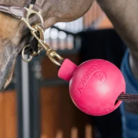 Rubber-Ball-Wall-and-Lead-Protector-Pink-2