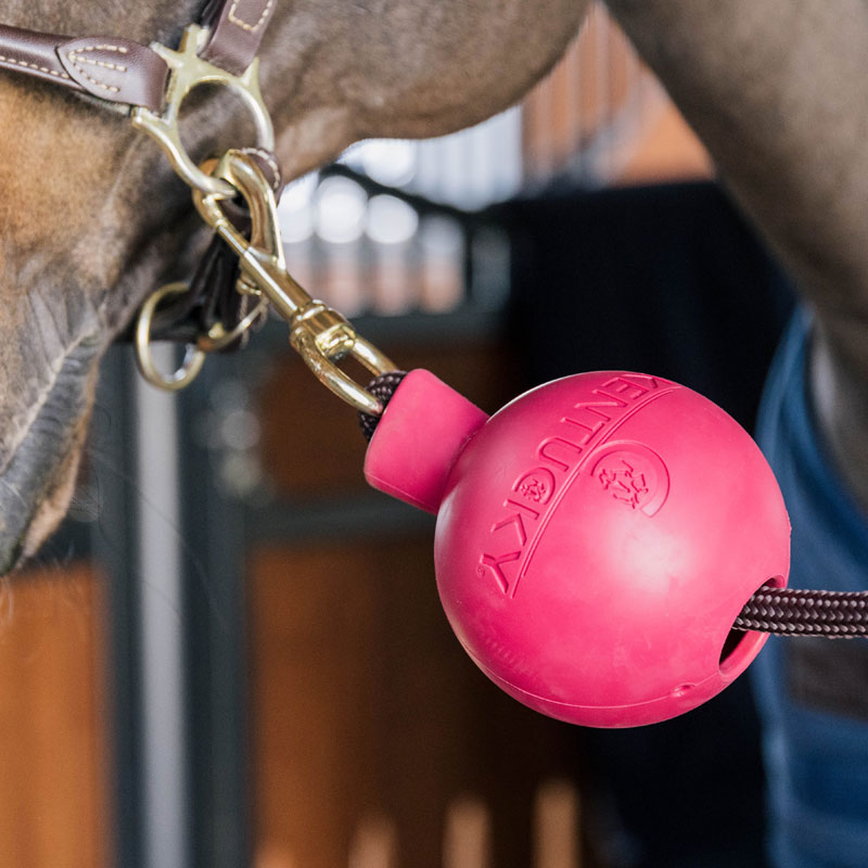Rubber-Ball-Wall-and-Lead-Protector-Pink-2