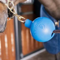 Rubber-Ball-Wall-and-Lead-Protector-Royal-Blue-1