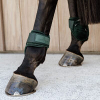 Young-Horse-Fetlock-Boots-Velvet-Dark-Green