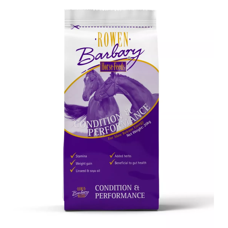 Rowen Barbary Condition & Performance