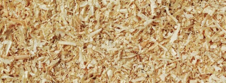 Bedding Pellets vs Shavings – Which is Best for Your Horse?
