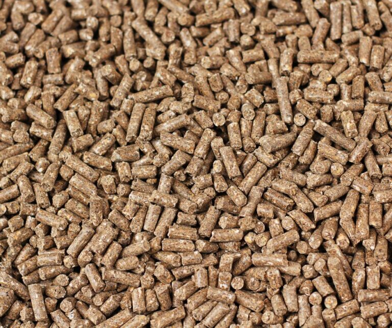 Supplements, Balancers or Complete Feeds – What Does Your Horse Actually Need?