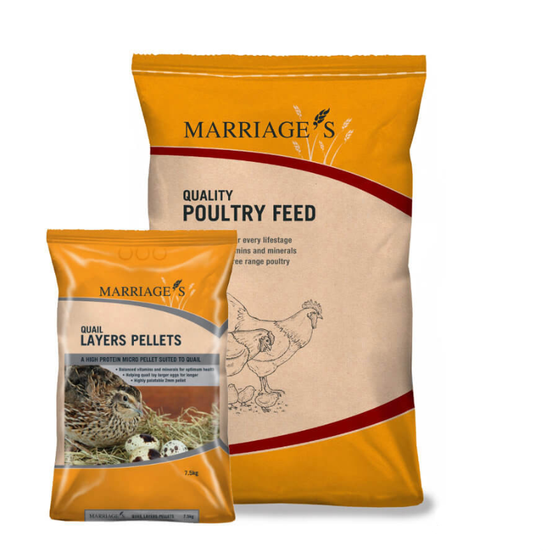 Marriages Quail Layers Micro Pellets