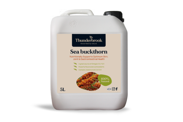 Thunderbrook Seabuckthorn