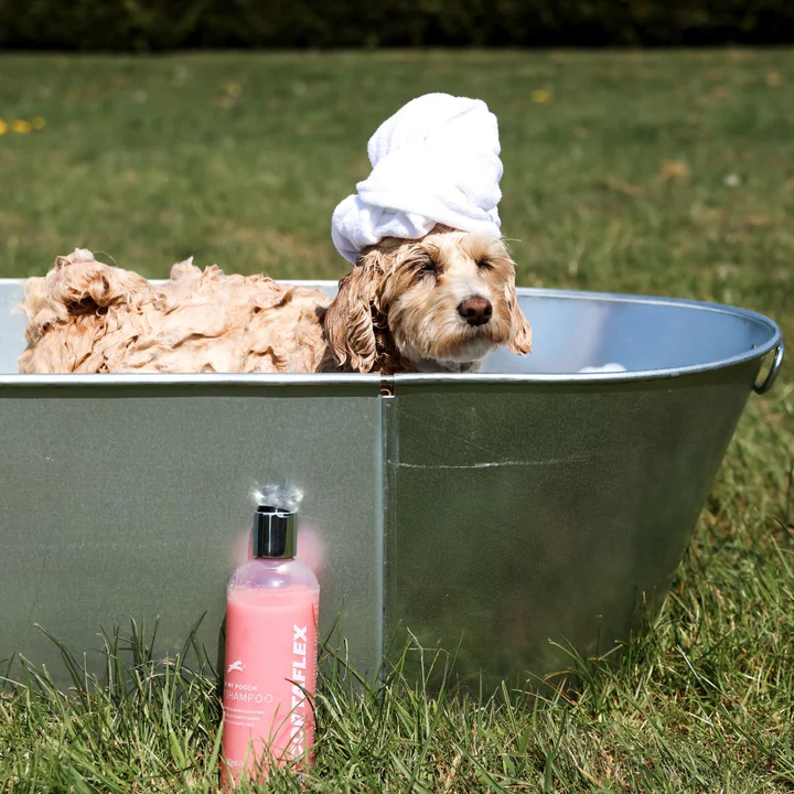 Equine America Pink My Pooch