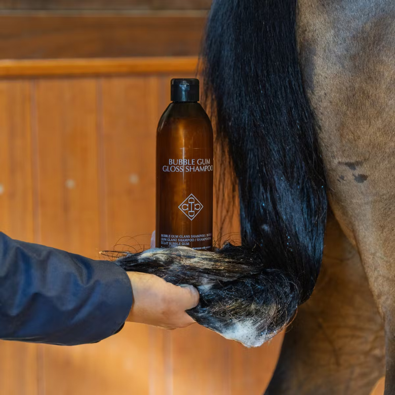 Grooming Deluxe Bubblegum Gloss Shampoo - Image 3