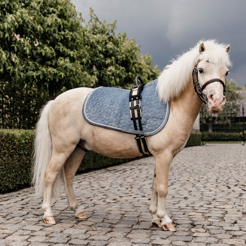 Kentucky Horsewear Velvet Pony Saddle Pad - Image 2