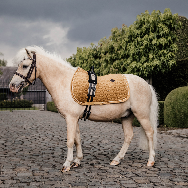 Kentucky Horsewear Velvet Pony Saddle Pad - Image 3