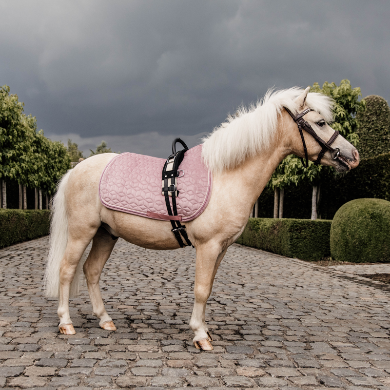 Kentucky Horsewear Velvet Pony Saddle Pad - Image 4
